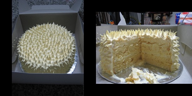 [durian cake[3].jpg]