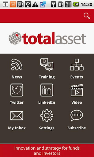 Total Asset