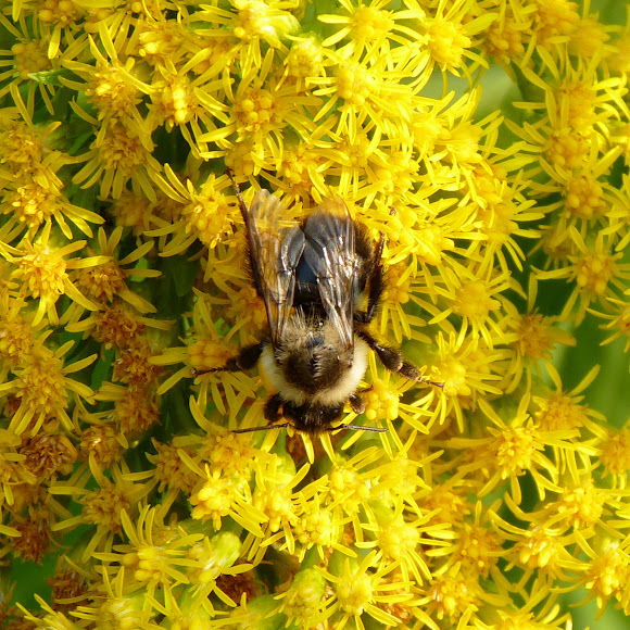 Spotting Image 1