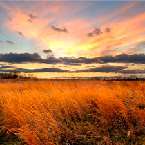 Occoquan Bay National Wildlife Refuge