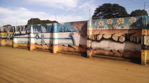 Muro Pintado Da Saneago