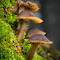 CRW_3604.jpg
