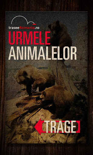 URMELE ANIMALELOR