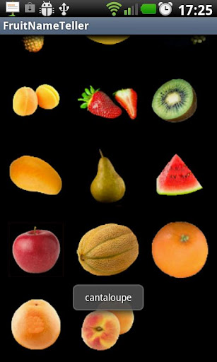 Fruit Name Teller