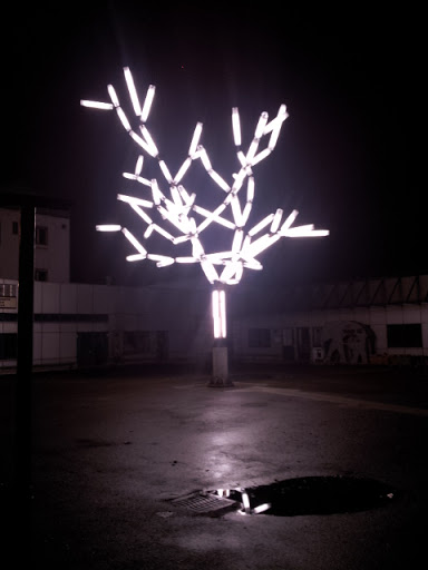 Aarau - Lighting Tree