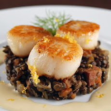 Sea Scallops with Puy Lentils and Fennel Cream