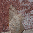 Common Angle