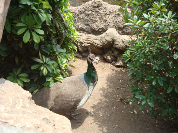 Spotting Image 1