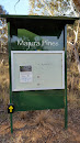 Majura Pines Notice Board