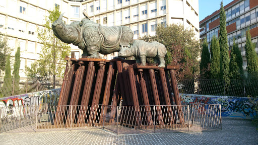 Statua Rinoceronti (Ancona)