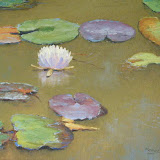 Jon Houglum - Franklin, NC, WNC Oil Painter & Private Art Teacher