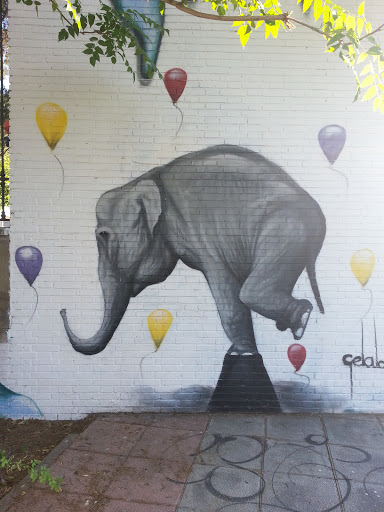 Graffiti Elefante