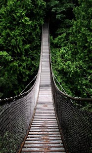 How to mod Bridge wallpaper 1.0 unlimited apk for pc
