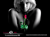 Un Oasis Para Las  Parejas Swinger