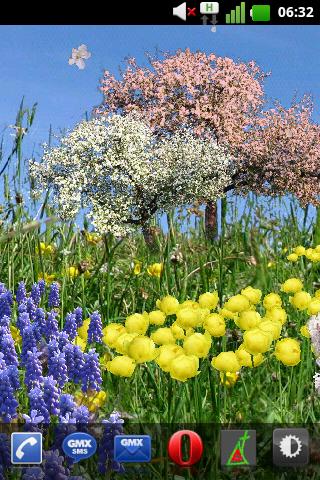 Spring Flowers Free Wallpaper