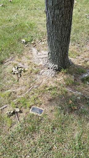 Jim Wilson Memorial Tree