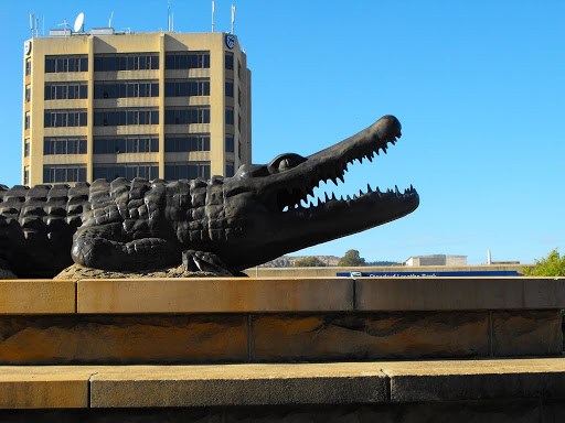 Crocodile Monument Maseru