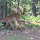 Wildlife at Red Top Mtn.