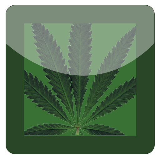 GO SMS Pro Weed Smoking Theme LOGO-APP點子