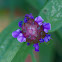 Common Self-heal