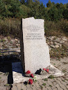 Памятник Оплеснину