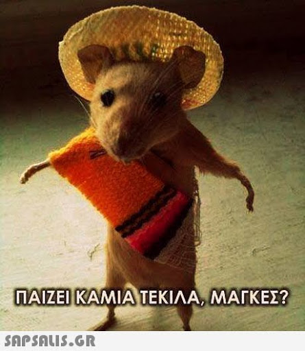 ΠΑΙΖΕΙ ΚΑΜΙΑ ΤΕΚΙΛΑ ΜΑΓΚΕΣ? MATKEI? 
