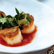 Seared Sea Scallops with Lemongrass Sauce and Basil, Mint and Cilantro Salad