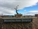 Wyoming State Hospital Tree Statue