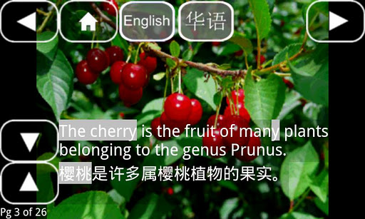 【免費教育App】Bilingual Book-AtoZ Fruits-APP點子