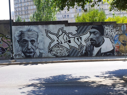 Einsteins and Snoop Dog Mural