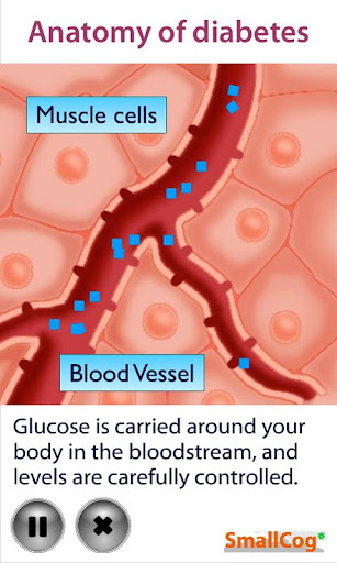 【免費醫療App】Anatomy of Diabetes-APP點子