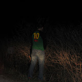 2005 Invierno &ndash; 