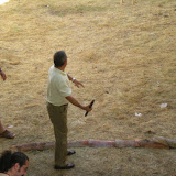 2008 Mercado Medieval &ndash; 