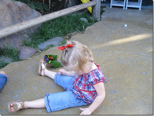 pics 024
