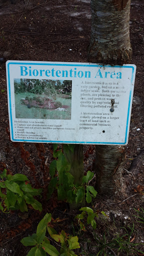 Anne McCrary Park-Bioretention Area