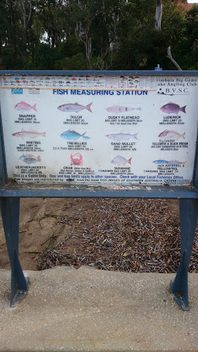 Fish Measuring Station