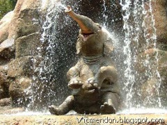 Bebe elefante no banho