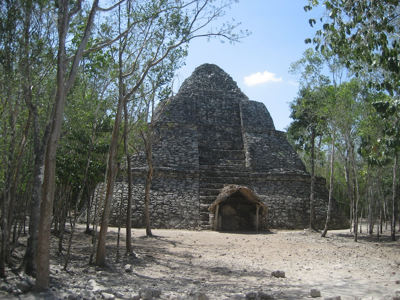 The Observatory