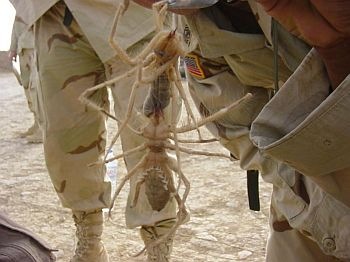 [clip_image001[6].jpg]