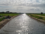 dsc03467.jpg