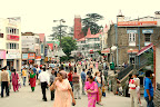 Shimla