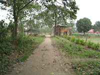 Path to Cyber Mansion