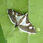 Bicolored pearl