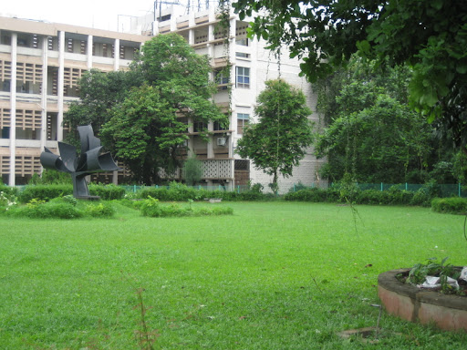 The tree of wisdom in front of the main building