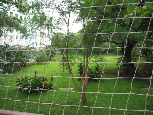 The garden of hostel 13