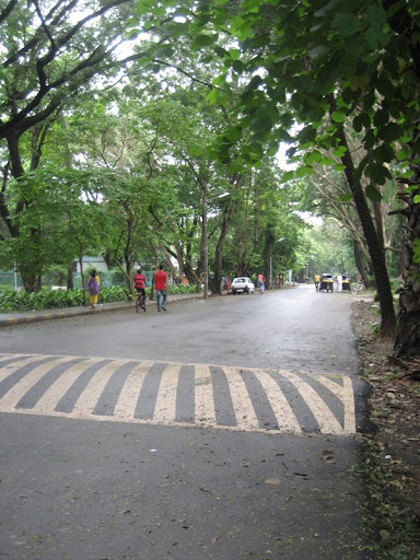 The main road