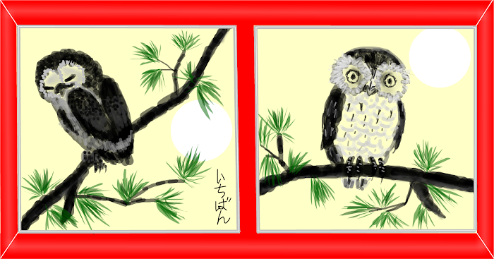 The Owl