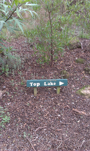 The Top Lake