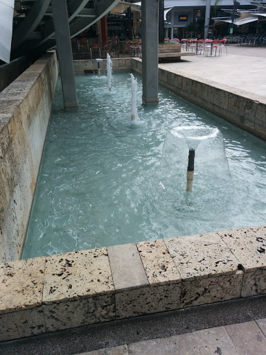 Fuente De Agua Palmetto