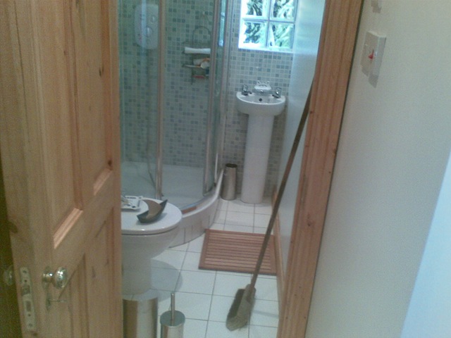 [bathroom brush[5].jpg]